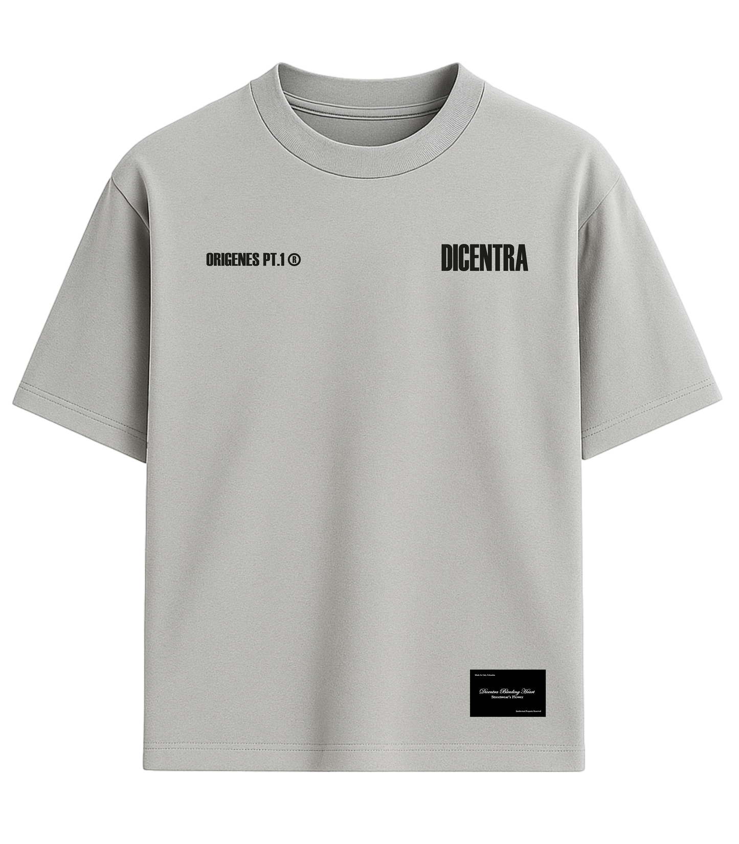 T-Shirt Grey Origenes Letters