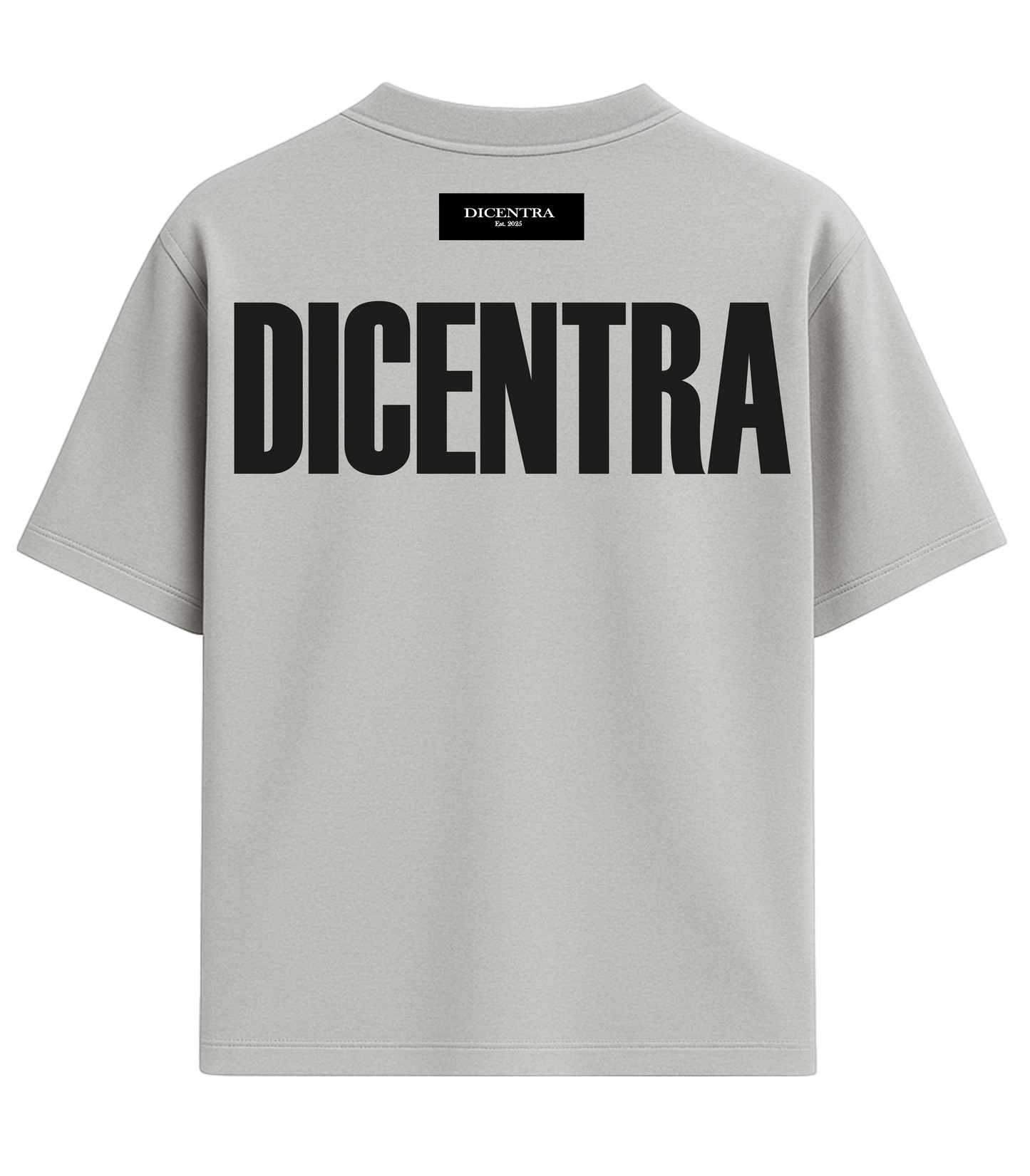 T-Shirt Grey Origenes Letters
